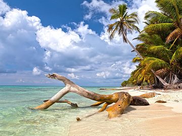 Zdjęcie kierunku: Punta Cana